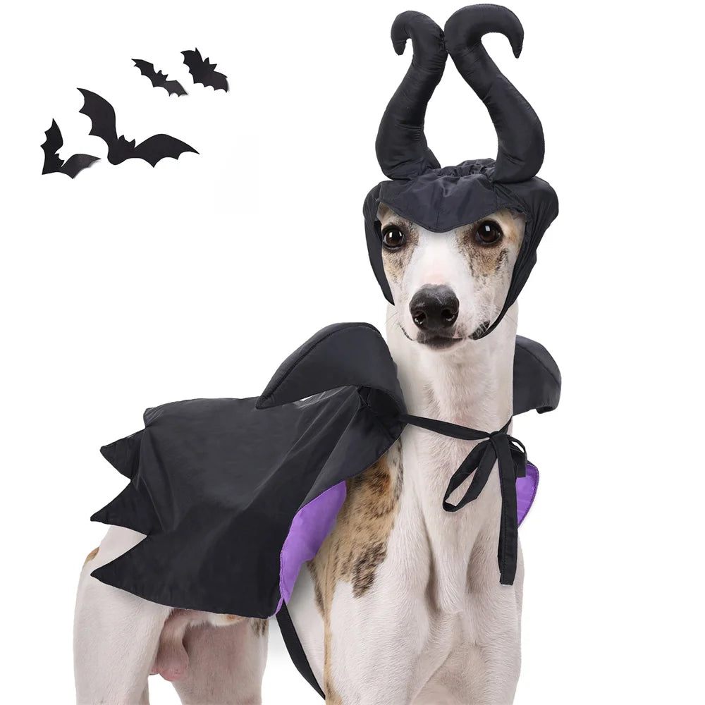 Halloween Dog Costume Black Purple Pet Maleficent Costume for Cats Dogs Adjustable Dog Dress Up Cape with Hat Funny Party Outfit