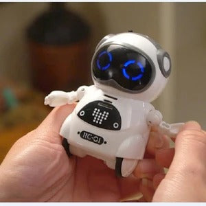 Pocket Mini Robot Toy