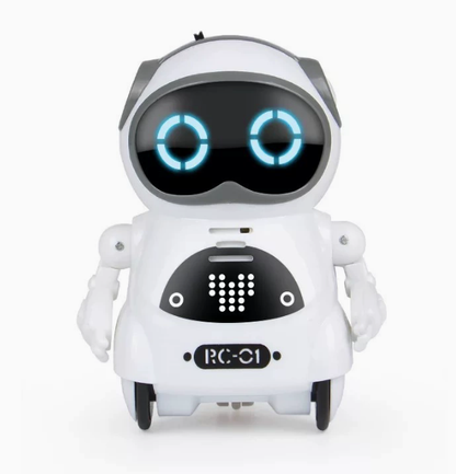 Pocket Mini Robot Toy