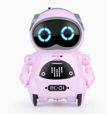 Pocket Mini Robot Toy