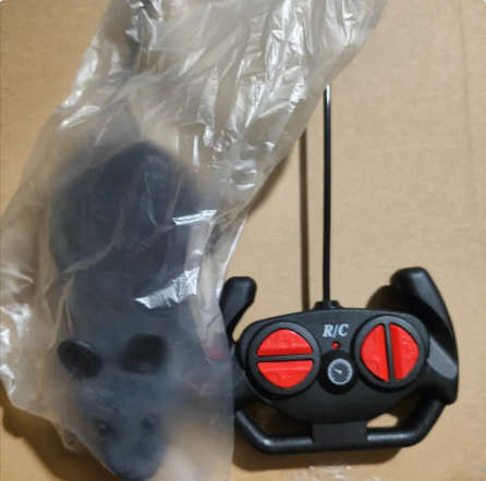 Remote-Control Mouse Chase Toy