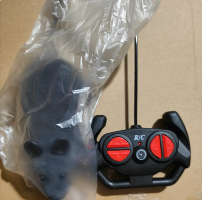 Remote-Control Mouse Chase Toy