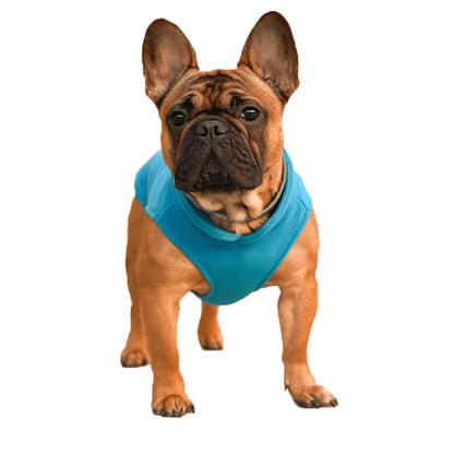Warm Fleece Dogs Clothes Pet Dog Jacket Vest With D-Ring For Small Dog Cats Clothing French Bulldog Costumes Chihuahua Coat