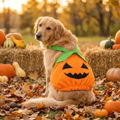 Halloween Pumpkin Pet Dress Funny Cosplay Costume For Small Dogs & Cats Cute Pumpkin  Skirt For Teddy & Kitten Halloween Outfit