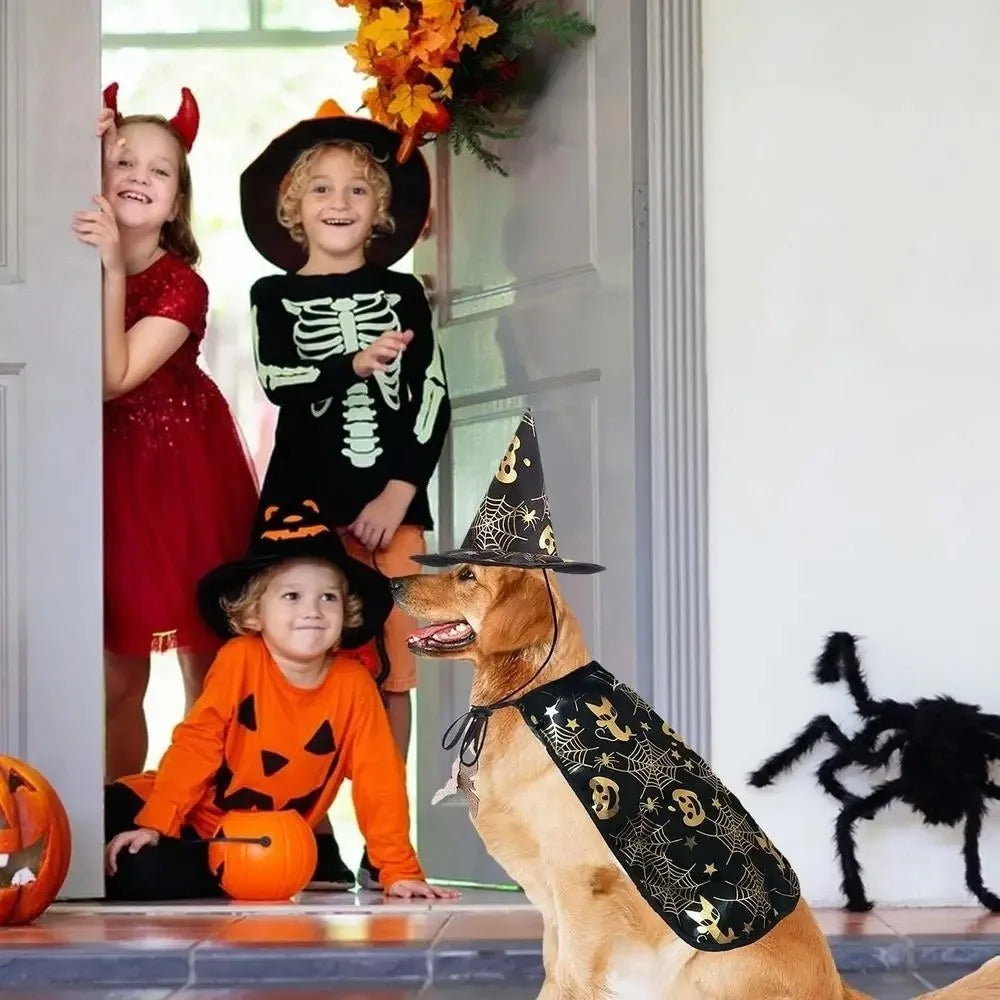 Funny Pumpkin Pet Halloween Costumes Cape Adjustable Soft Halloween Dog Cloak Hat Bat Black Cats Cosplay Clothes Cats
