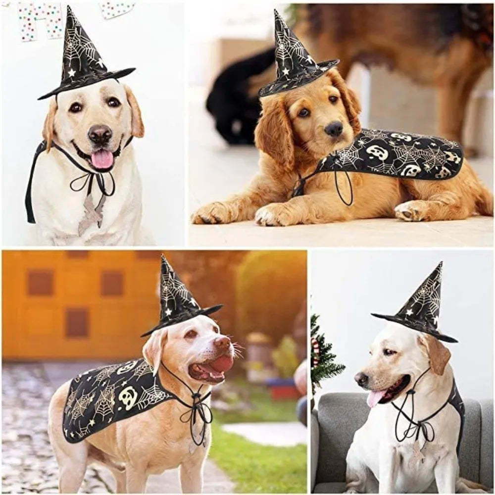 Funny Pumpkin Pet Halloween Costumes Cape Adjustable Soft Halloween Dog Cloak Hat Bat Black Cats Cosplay Clothes Cats