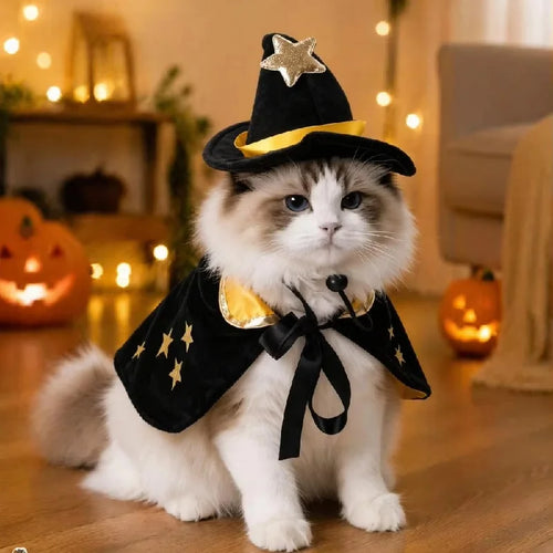 Halloween Pet Cat Witch Costume Black Cape Wizard Hat Moon Star Cloak for Small Medium Dogs Party Cosplay