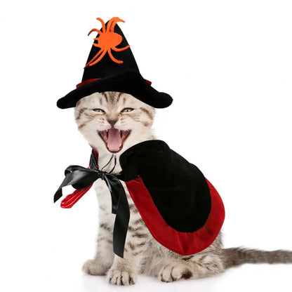 Halloween Pet Cat Witch Costume Black Cape Wizard Hat Moon Star Cloak for Small Medium Dogs Party Cosplay