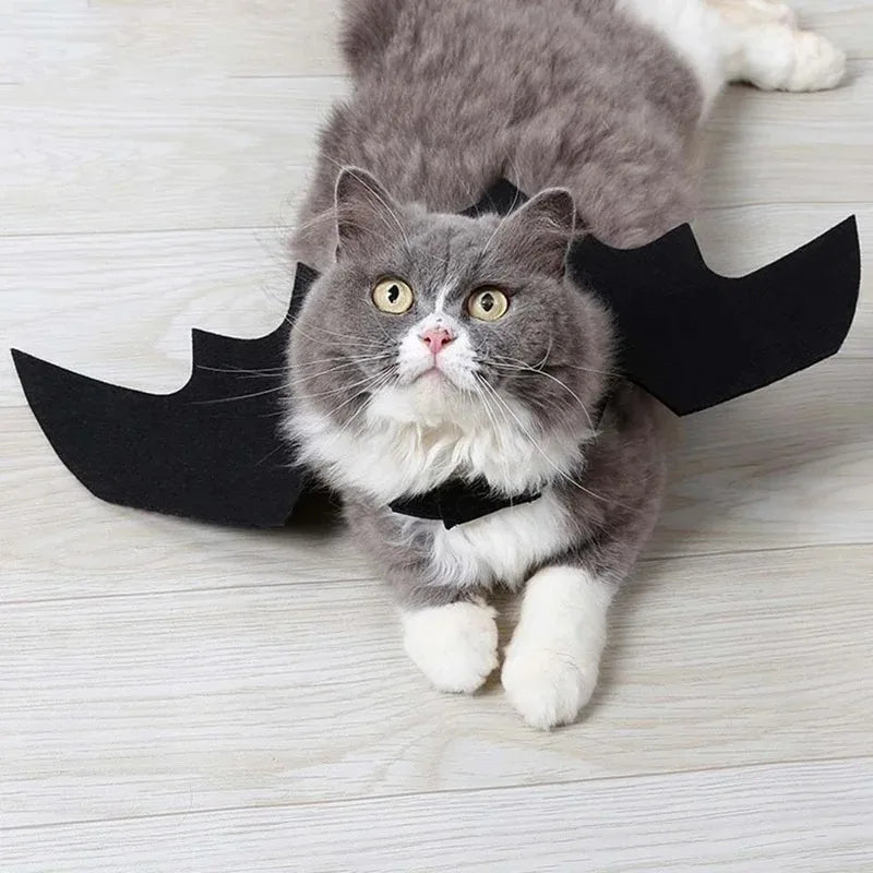 Halloween Cute Pet Clothes Black Bat Wings Harness Costume Cosplay Cat Kitten Dog Puppy Dress Kawaii Pet Clothes Party Gift
