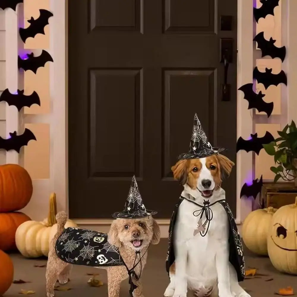 Funny Pumpkin Pet Halloween Costumes Cape Adjustable Soft Halloween Dog Cloak Hat Bat Black Cats Cosplay Clothes Cats