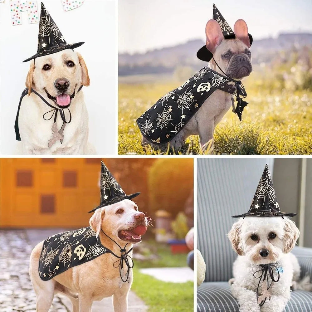 Funny Pumpkin Pet Halloween Costumes Cape Adjustable Soft Halloween Dog Cloak Hat Bat Black Cats Cosplay Clothes Cats