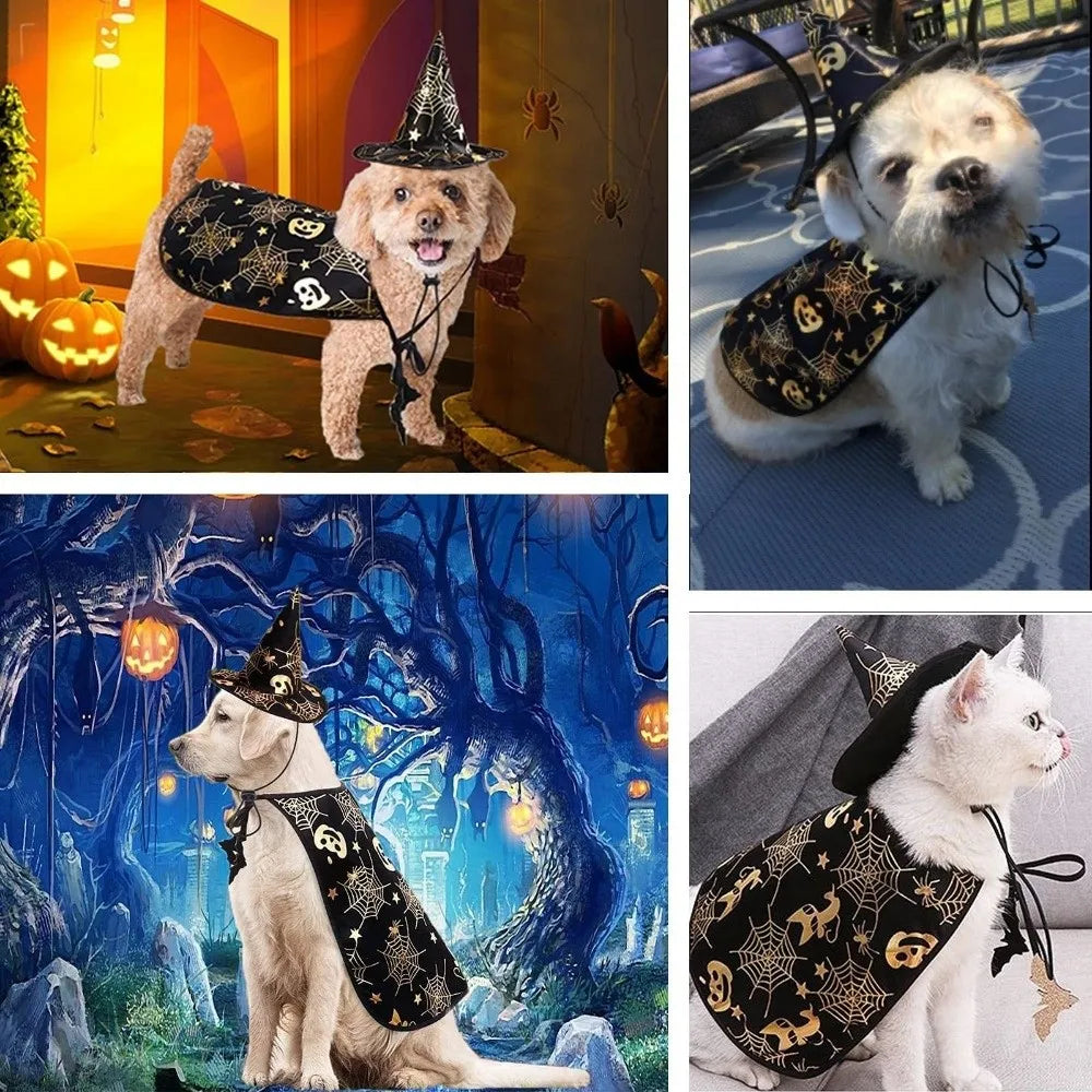 Funny Pumpkin Pet Halloween Costumes Cape Adjustable Soft Halloween Dog Cloak Hat Bat Black Cats Cosplay Clothes Cats