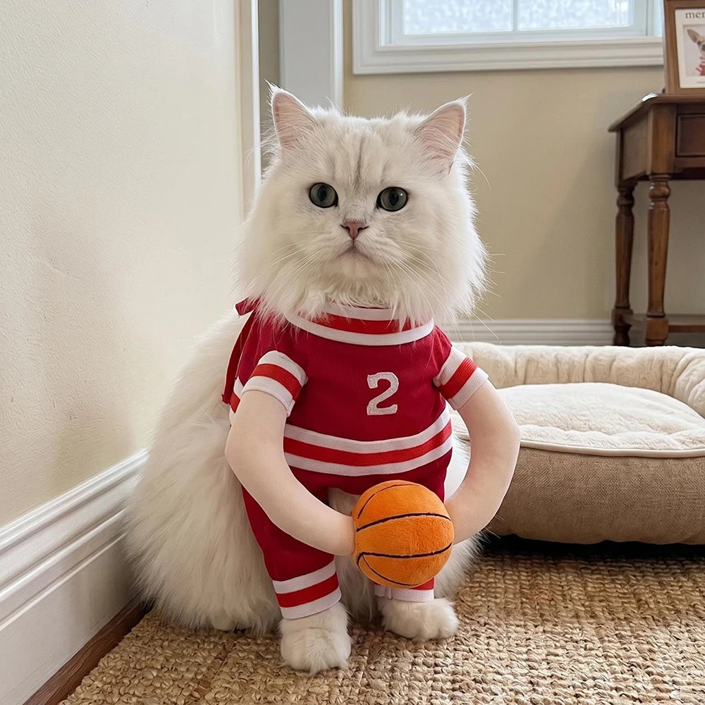 Halloween Pet Basketball Costume with 3D Ball Funny Sport Cosplay Outfit for Small Medium Dogs Pug Apparel Photo Shoots Playtime
