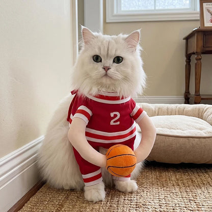 Halloween Pet Basketball Costume with 3D Ball Funny Sport Cosplay Outfit for Small Medium Dogs Pug Apparel Photo Shoots Playtime