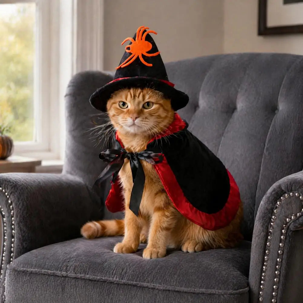 Halloween Pet Cat Witch Costume Black Cape Wizard Hat Moon Star Cloak for Small Medium Dogs Party Cosplay