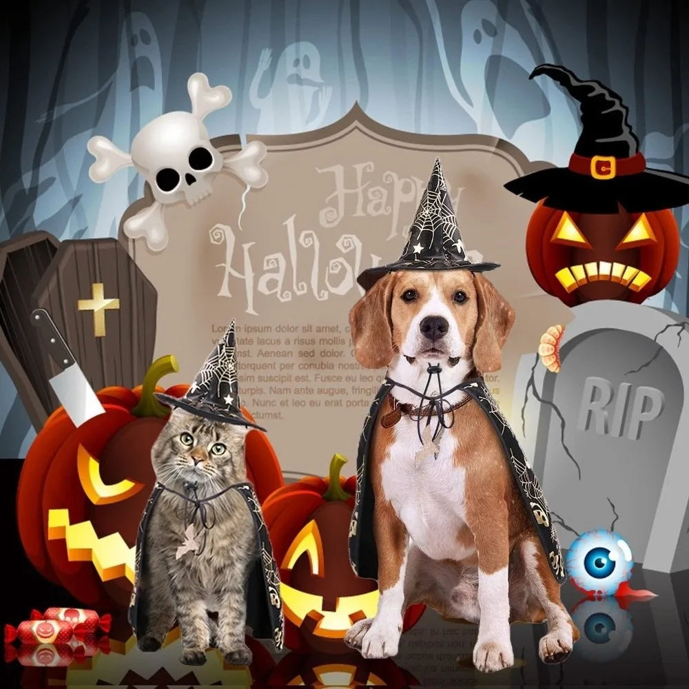 Funny Pumpkin Pet Halloween Costumes Cape Adjustable Soft Halloween Dog Cloak Hat Bat Black Cats Cosplay Clothes Cats