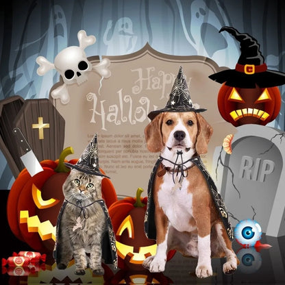 Funny Pumpkin Pet Halloween Costumes Cape Adjustable Soft Halloween Dog Cloak Hat Bat Black Cats Cosplay Clothes Cats