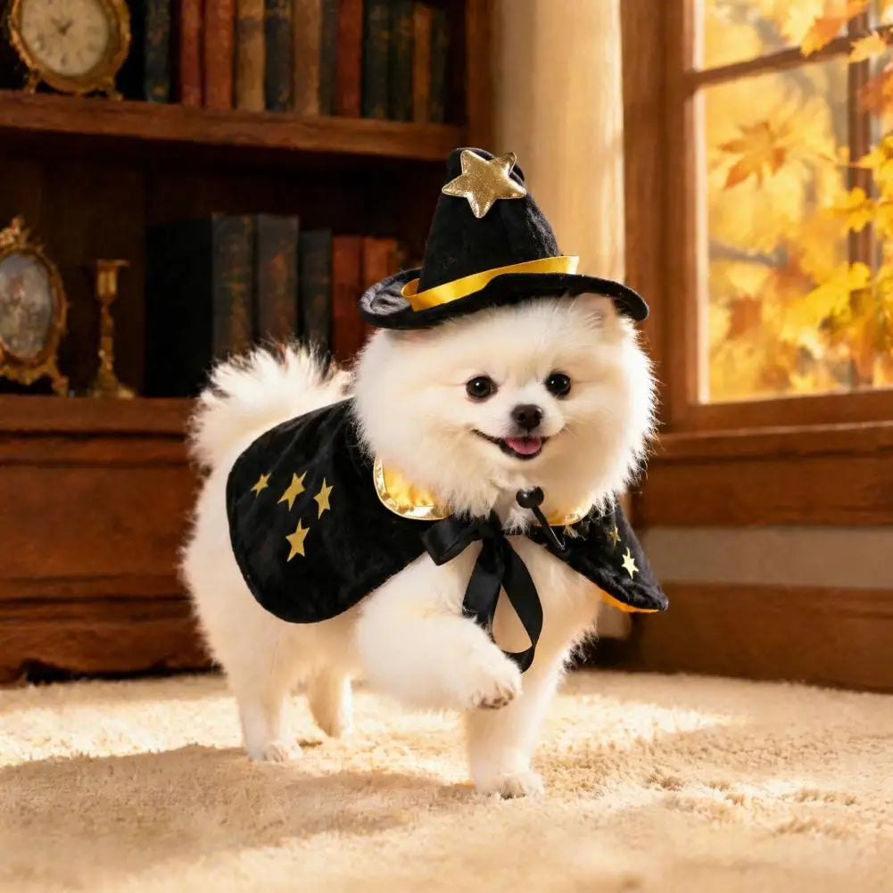 Halloween Pet Cat Witch Costume Black Cape Wizard Hat Moon Star Cloak for Small Medium Dogs Party Cosplay