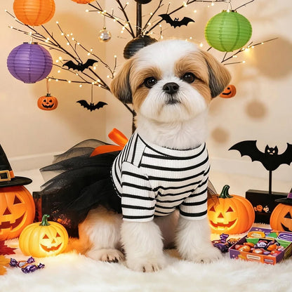 Halloween Costumes Dresses For Dog Elegant Pet Vest With Tutu Skirt Autumn Winter Girl Female Pet Toy Poodle Small Breeds Cat