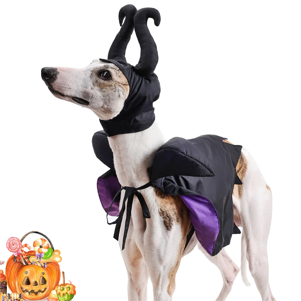 Halloween Dog Costume Black Purple Pet Maleficent Costume for Cats Dogs Adjustable Dog Dress Up Cape with Hat Funny Party Outfit
