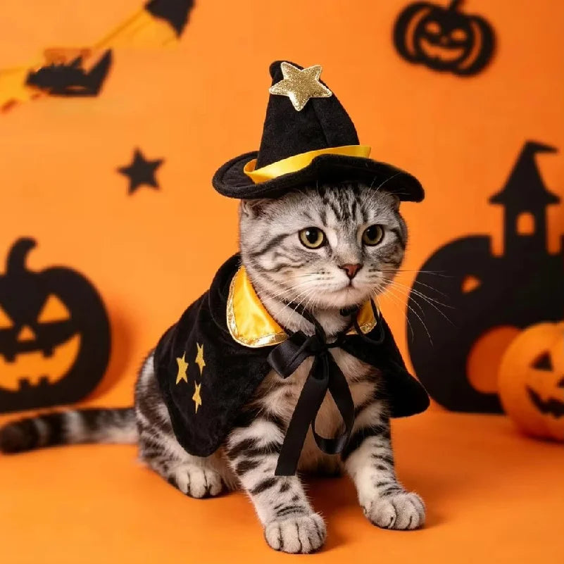 Halloween Pet Cat Witch Costume Black Cape Wizard Hat Moon Star Cloak for Small Medium Dogs Party Cosplay