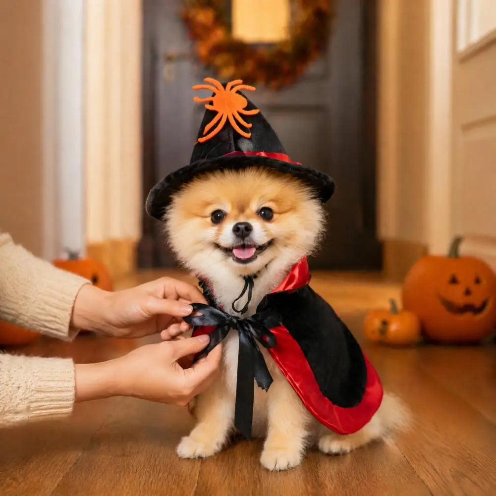 Halloween Pet Cat Witch Costume Black Cape Wizard Hat Moon Star Cloak for Small Medium Dogs Party Cosplay