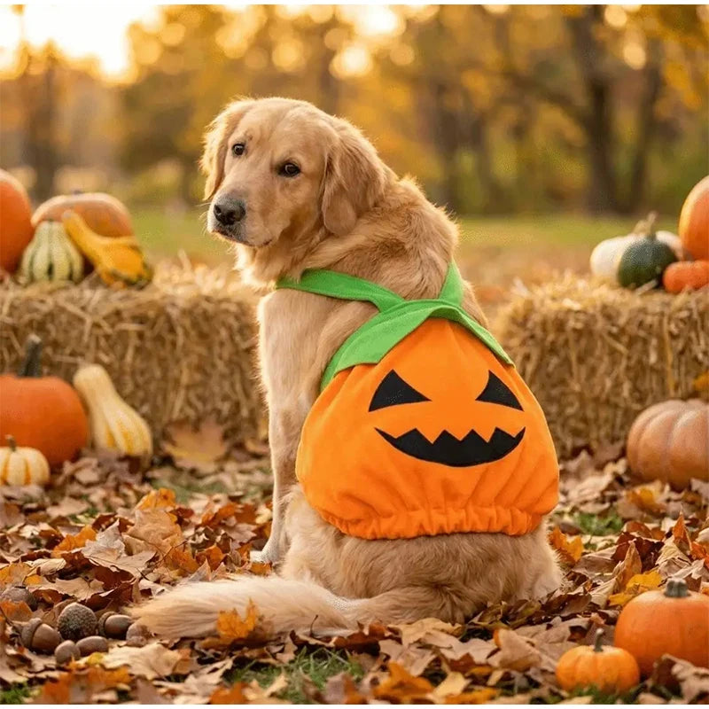 Halloween Pumpkin Pet Dress Funny Cosplay Costume For Small Dogs & Cats Cute Pumpkin  Skirt For Teddy & Kitten Halloween Outfit