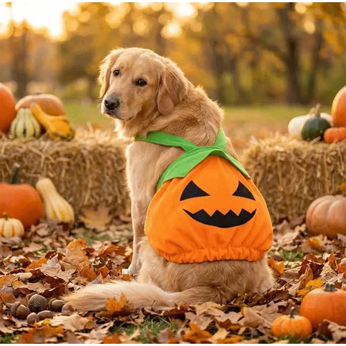 Halloween Pumpkin Pet Dress Funny Cosplay Costume For Small Dogs & Cats Cute Pumpkin  Skirt For Teddy & Kitten Halloween Outfit