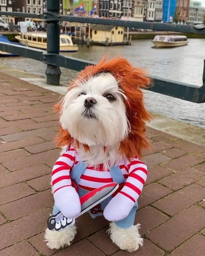 Halloween Pet Cosplay Costume Dog Dress for Small & Medium Dogs – Fun & Stylish Outfit Dogs Cats Pet Playing with Funny Clothes