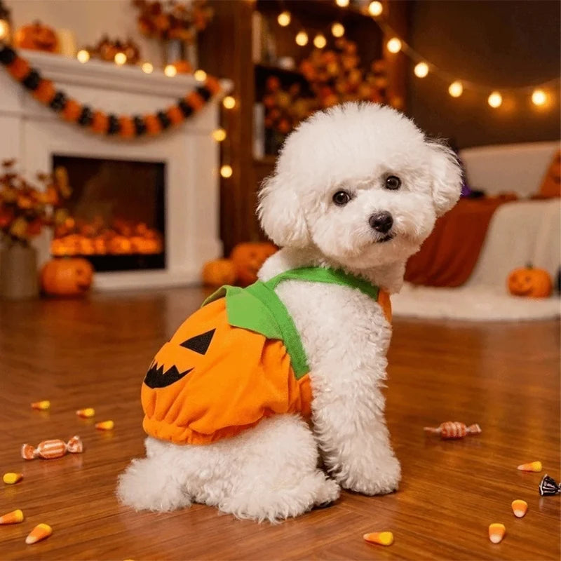Halloween Pumpkin Pet Dress Funny Cosplay Costume For Small Dogs & Cats Cute Pumpkin  Skirt For Teddy & Kitten Halloween Outfit