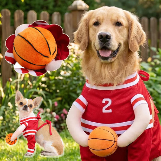 Halloween Pet Basketball Costume with 3D Ball Funny Sport Cosplay Outfit for Small Medium Dogs Pug Apparel Photo Shoots Playtime