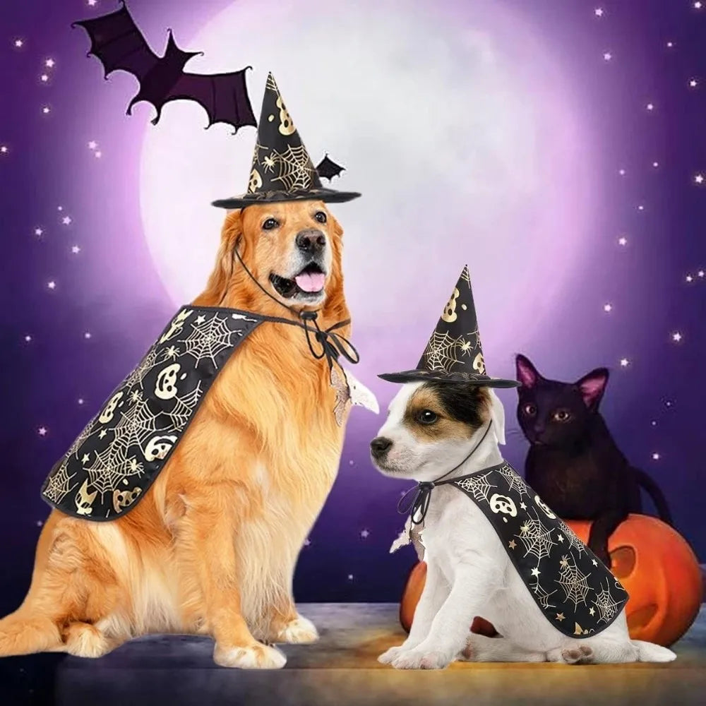 Funny Pumpkin Pet Halloween Costumes Cape Adjustable Soft Halloween Dog Cloak Hat Bat Black Cats Cosplay Clothes Cats