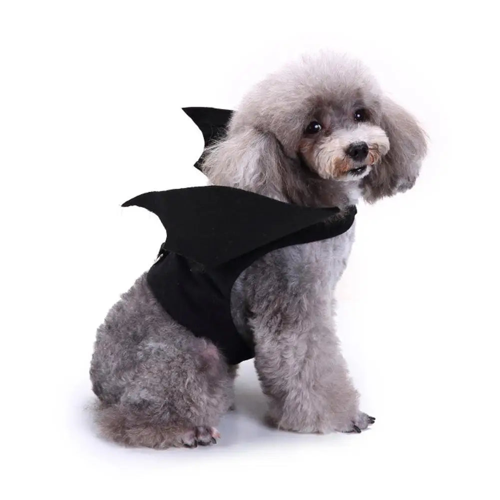-Halloween Pet Costume - Cute Black Bat Wings Harness Costume For Cats And Dogs, Halloween Party Cosplay, Pet Supplies