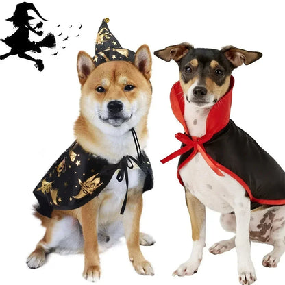Halloween Pet Cosplay Costume Black Gold Halloween Decoration Wizard Hat Cape Set Printed Cat Dog Suit Party Accessories