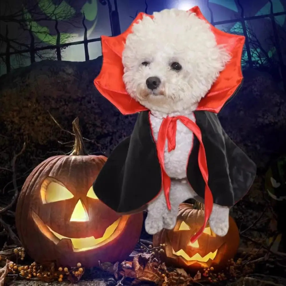 Stand-collar Halloween Pet Costume Comfortable Adjustable Cat Cosplay Cloak Soft Fabric Pet Supplies Kitten Puppy Dress Party