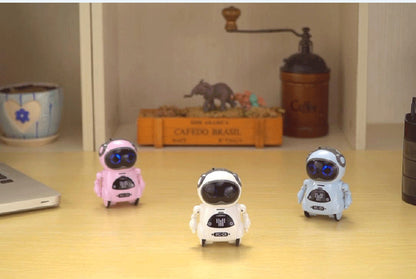 Pocket Mini Robot Toy