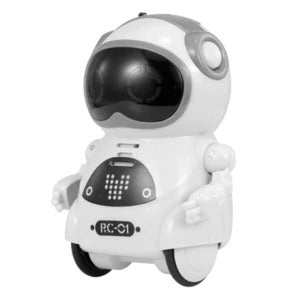 Pocket Mini Robot Toy
